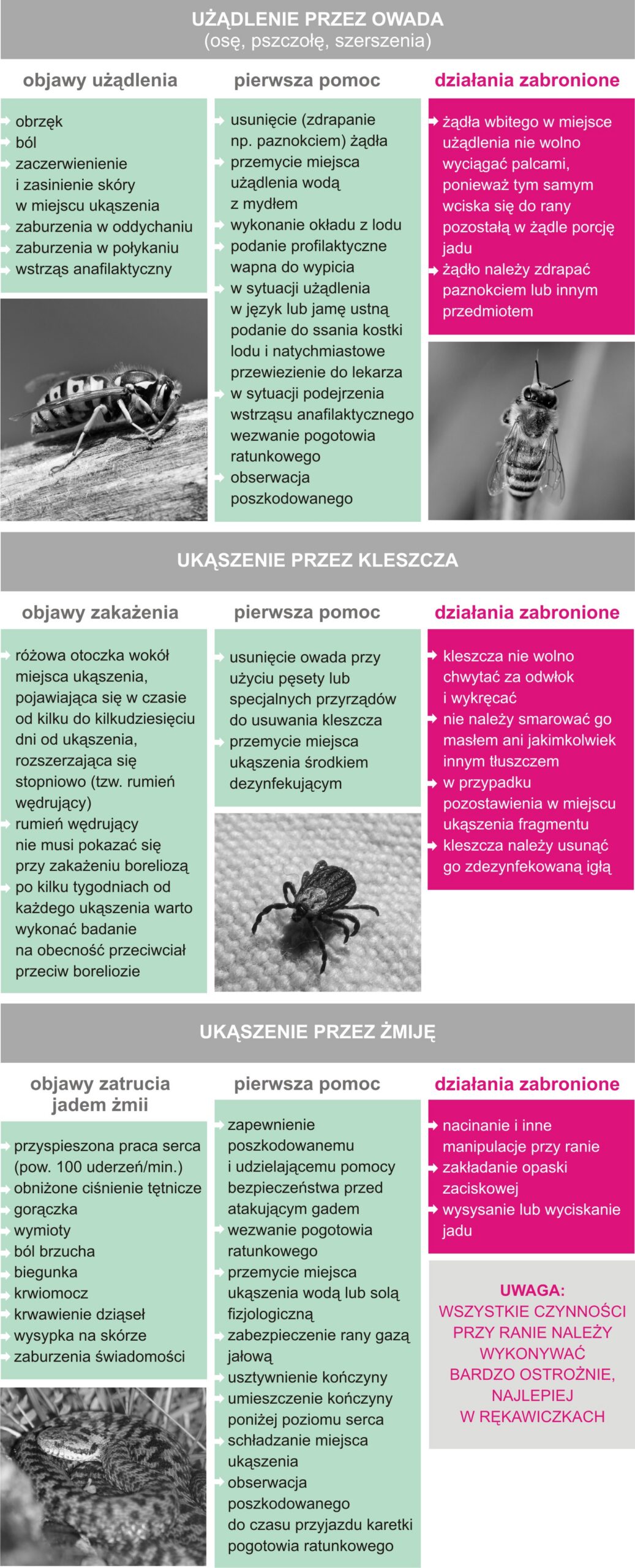 użądlenie i ukąszenie