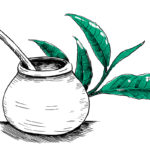 yerba mate i inne napoje energetyczne